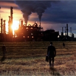 Farms cause more pollution than factories – official Chinese census