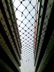 foxconn suicide net